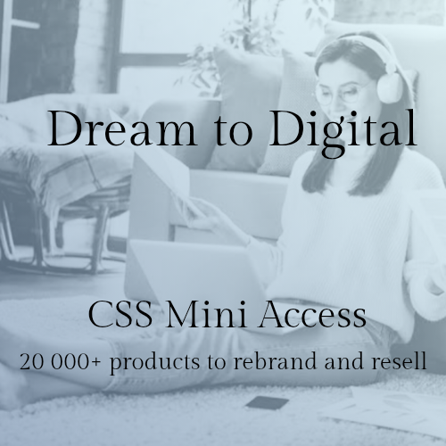 Dream to Digital : CSS Mini